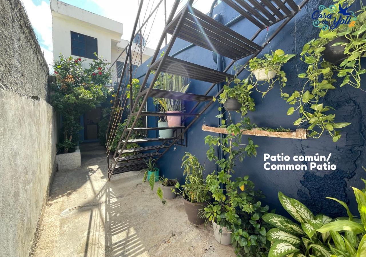 Casa De Yoli Apartment Cozumel Exterior photo